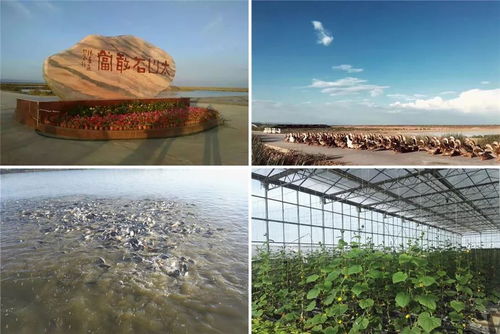 過節(jié)出游必看,九原區(qū)這4項冬季旅游節(jié)慶活動 3條冬季旅游精品線讓你嗨翻天