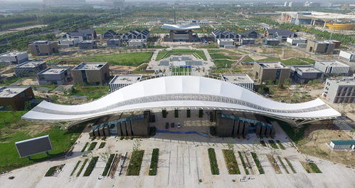 上海CAD二次開發(fā)公司盤點與技術(shù)咨詢指南